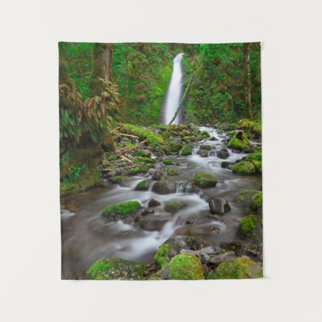Ruckel Creek Falls, Columbia River Gorge Oregon Tapestry (Front)