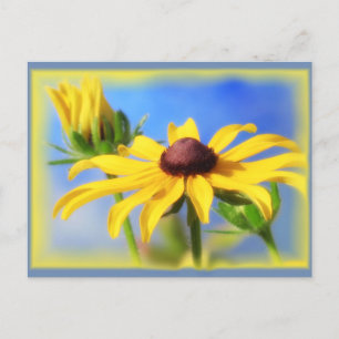 Rudbeckia Blues - Vignette Postcard