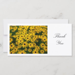 Rudbeckia Hirta (Black-eyed Susans) - Thank You Card