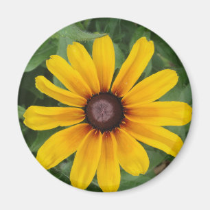 Rudbeckia Magnet