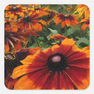 Rudbeckia Square Sticker