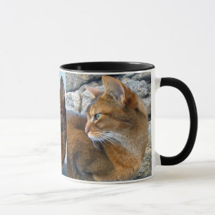 Ruddy Abyssinian Female Cat Mug