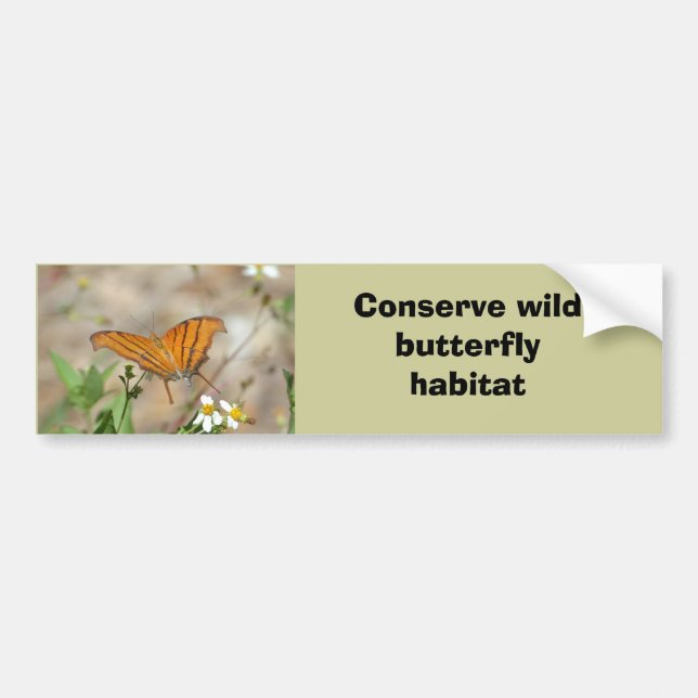 Ruddy Daggerwing butterfly bumper sticker (Front)