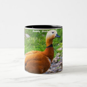 Ruddy  Duck Two-Tone Coffee Mug