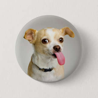 Rude Chihuahua Button