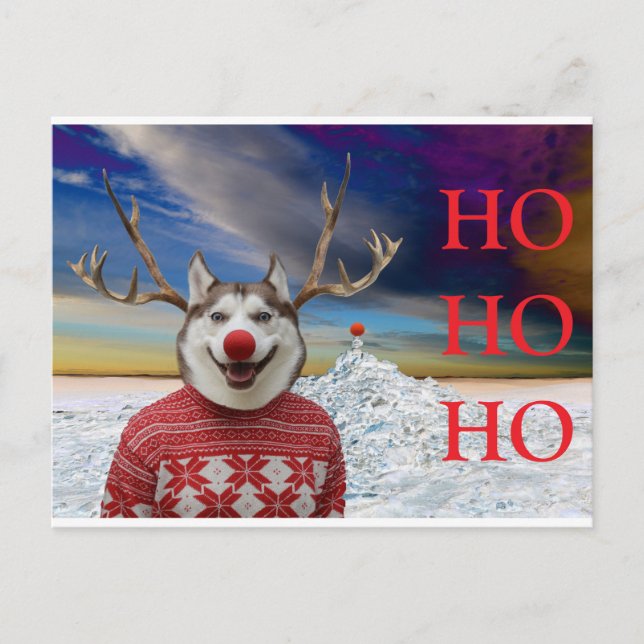 Rudolf the Sibe Postcard (Front)
