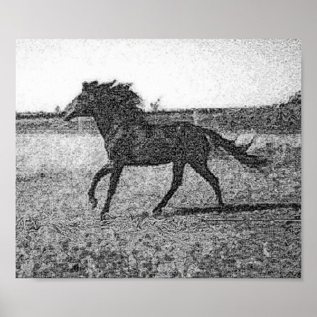 RUDOLFO - HORSE POSTER (Front)