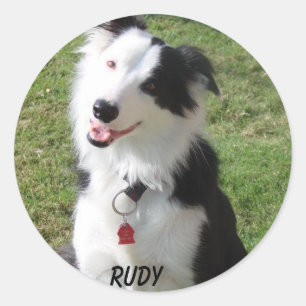 RUDY CLASSIC ROUND STICKER