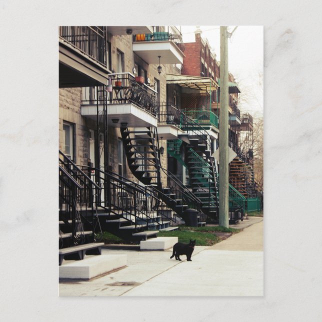 Rue la fontaine postcard (Front)