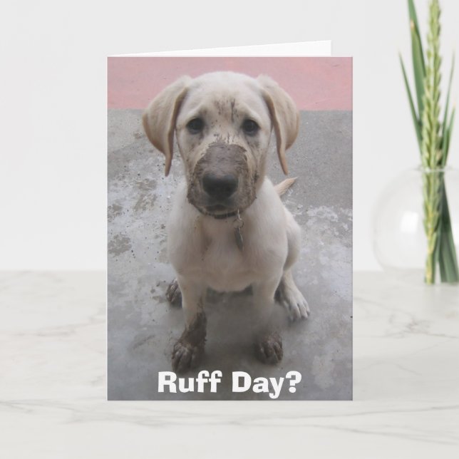 Ruff Day? Card (Front)