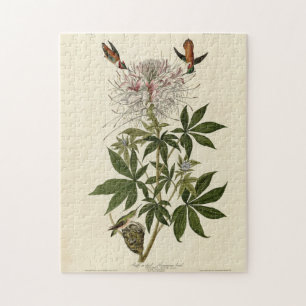 Ruff-necked Humming-bird, Audubon Birds of America Jigsaw Puzzle