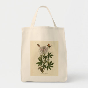 Ruff-necked Humming-bird, Audubon Birds of America Tote Bag