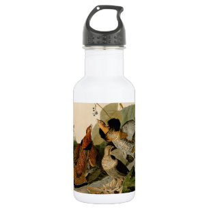 Ruffed Grouse Audubon Game Bird 532 Ml Water Bottle