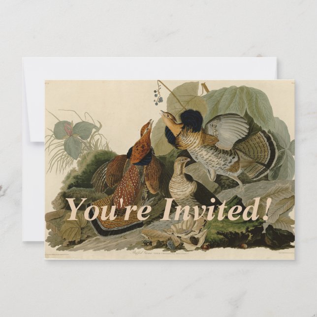 Ruffed Grouse Audubon Game Bird Invitation (Front)