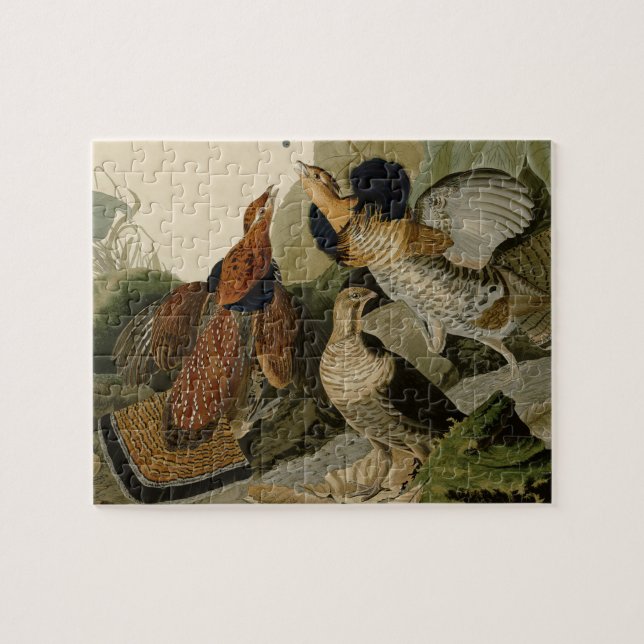 Ruffed Grouse Audubon Game Bird Jigsaw Puzzle (Horizontal)