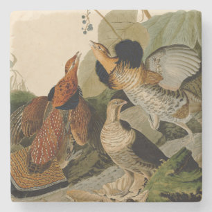 Ruffed Grouse Audubon Game Bird Stone Coaster