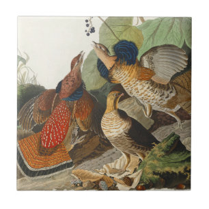 Ruffed Grouse Audubon Wildlife Painting Ceramic Tile