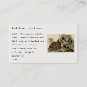 Ruffed Grouse - from Audubon's Birds of America Bu Business Card