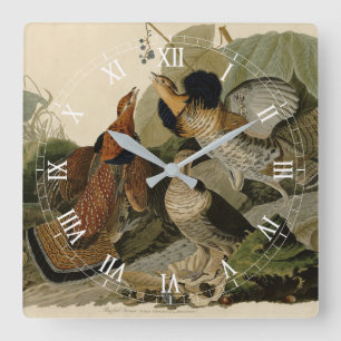 Ruffed Grouse - from Audubon's Birds of America Square Wall Clock