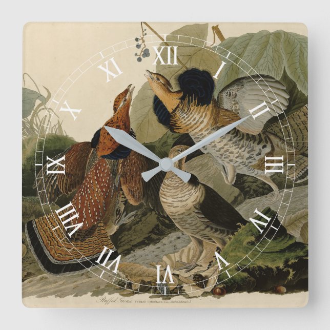 Ruffed Grouse - from Audubon's Birds of America Square Wall Clock (Front)
