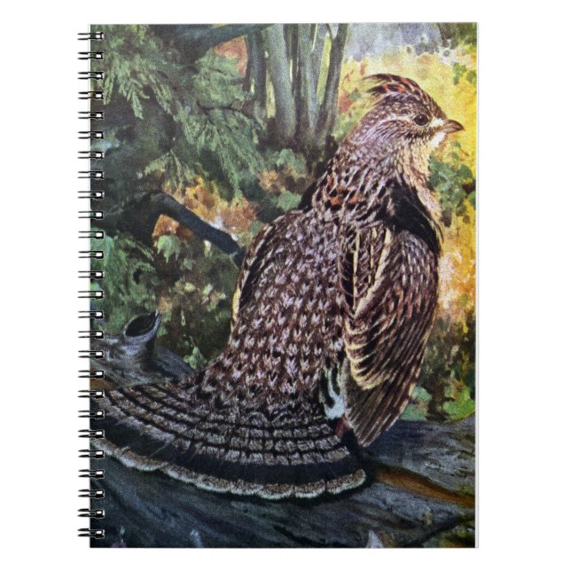Ruffed Grouse in the Forest Notebook (Front)