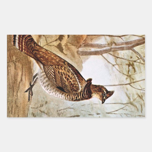 Ruffed Grouse Rectangular Sticker (Front)