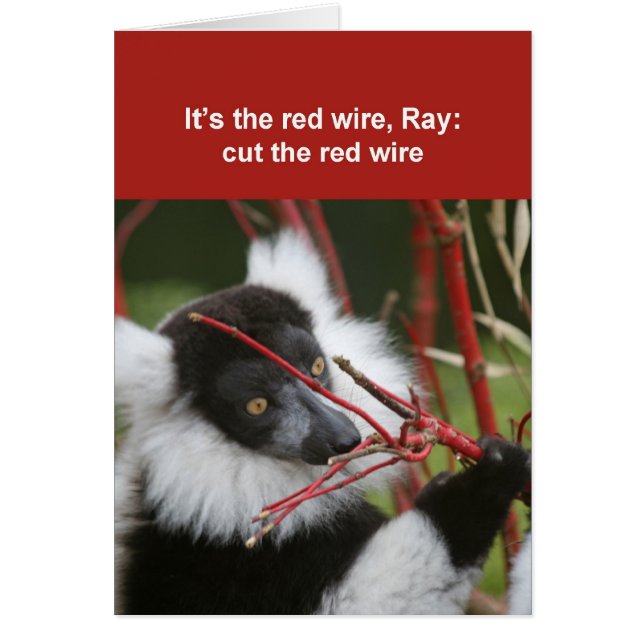 Ruffed lemur card (Front)