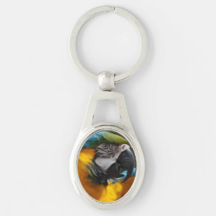 Ruffled Blue and Gold Macaw Key Ring