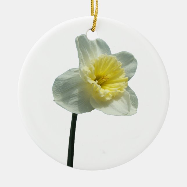 Ruffled Daffodil ~ ornament (Front)