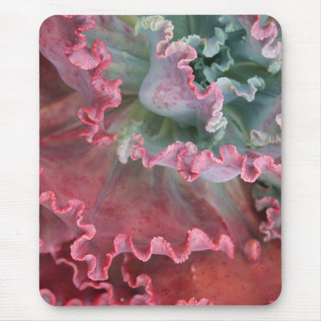 Ruffled echeveria mousepad (Front)