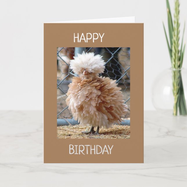 RUFFLED FEATHERED CHICKEN SAY HAPPY BIRTHDAY CARD (Front)