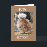 RUFFLED FEATHERED CHICKEN SAY HAPPY BIRTHDAY CARD<br><div class="desc">THANK U FOR STOPPING BY 1 OF MY 8 STORES!</div>