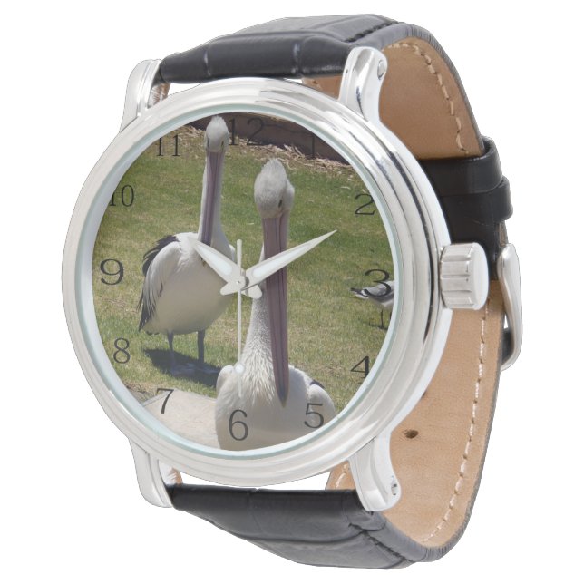 Ruffled Feathers: Pelicans With A Attitude, Watch (Angled)