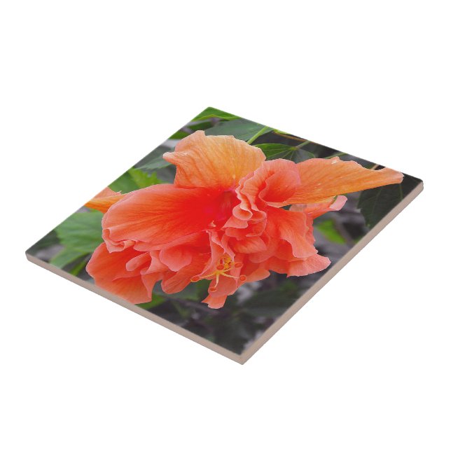 Ruffled Orange Flower Ceramic Tile (Side)