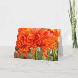 Ruffled ranunculus card