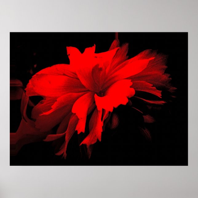 ruffles 2 poster (Front)