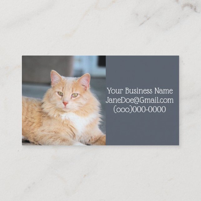 Ruffles Business Card (Back)