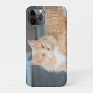 Ruffles iPhone 11 pro case
