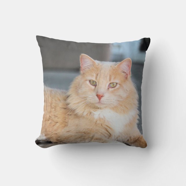 Ruffles    cushion (Front)