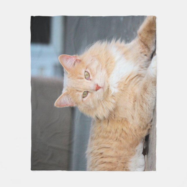 Ruffles   fleece blanket (Front)