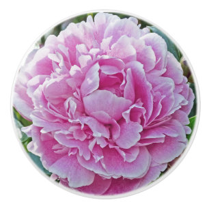"Ruffles Of Pink Peony" Ceramic Knob