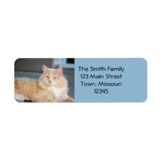 Ruffles Return Address Label
