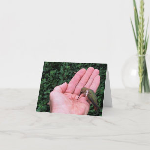 Rufous/Allen's Hummingbird • Joe Sweeney - card