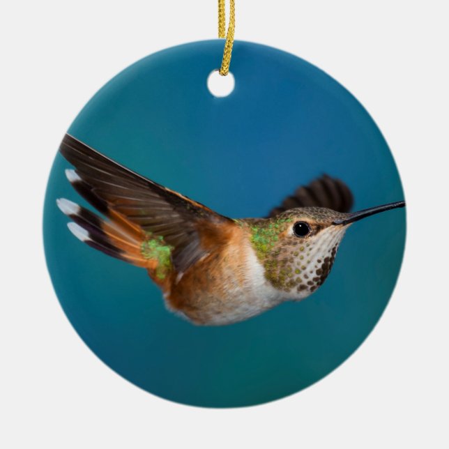 Rufous Hummingbird Ceramic Ornament (Front)