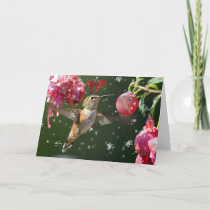 Rufous Hummingbird Christmas Holiday Card