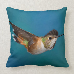 Rufous Hummingbird Cushion