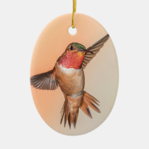 Rufous Hummingbird in Flight Monogram Name Ceramic Ornament