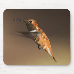 Rufous Hummingbird in flight Mouse Pad