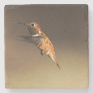 Rufous Hummingbird in flight Stone Coaster