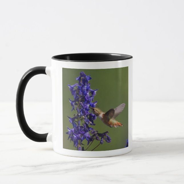 Rufous Hummingbird Mug (Left)